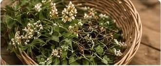 Colori naturali e variazioni stagionali